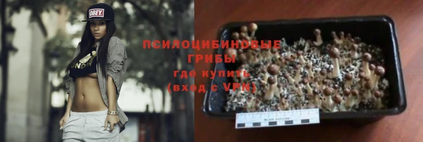 индика Билибино