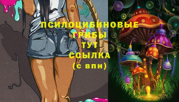 ALPHA PVP Нефтекумск