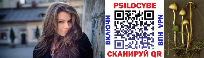 Псилоцибиновые грибы Psilocybe  купить  цена  Дмитриев 